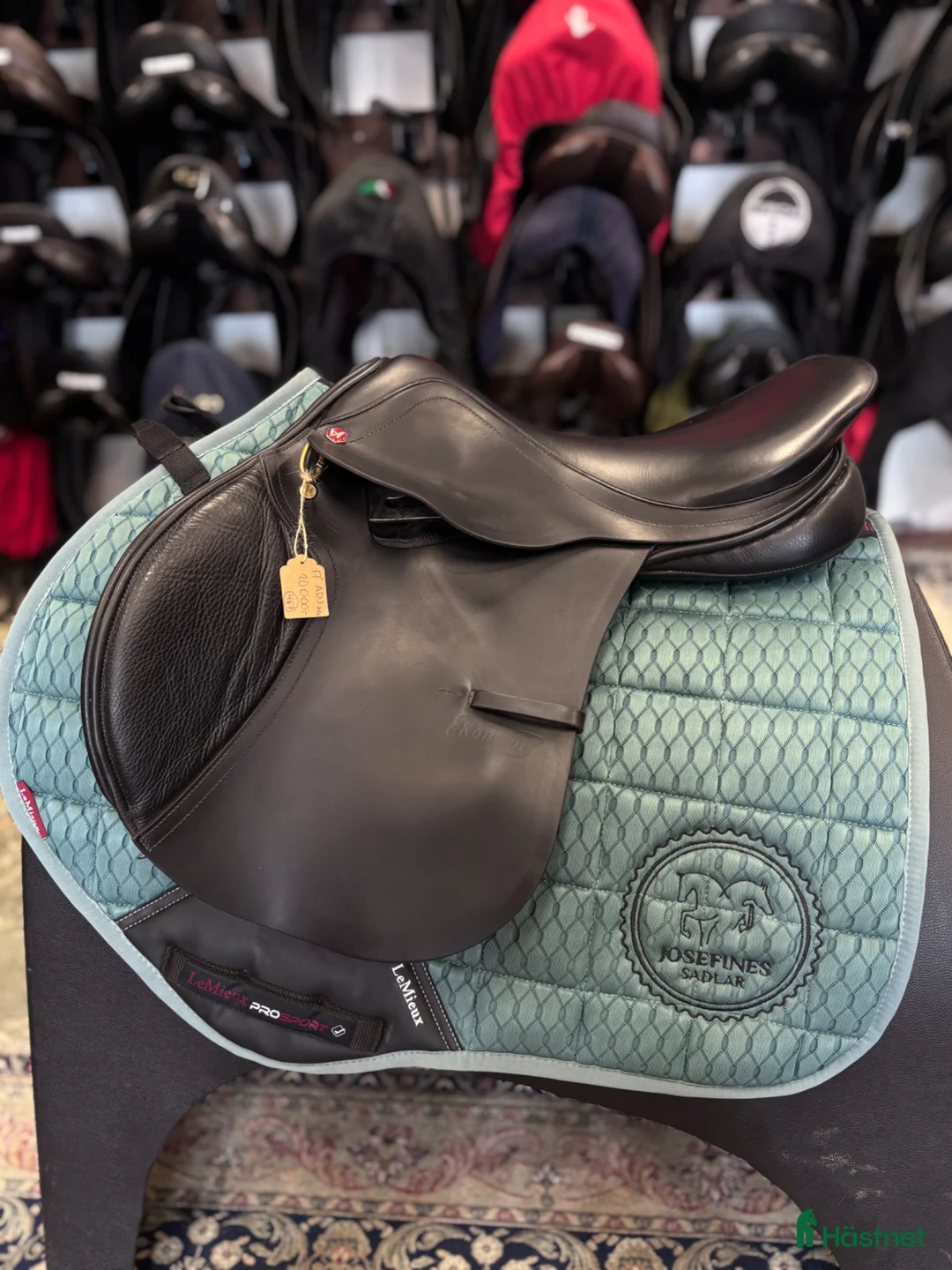 Sadlar hästutrustning till salu: Albion Kontrol ADJ ✨ - Annons 1