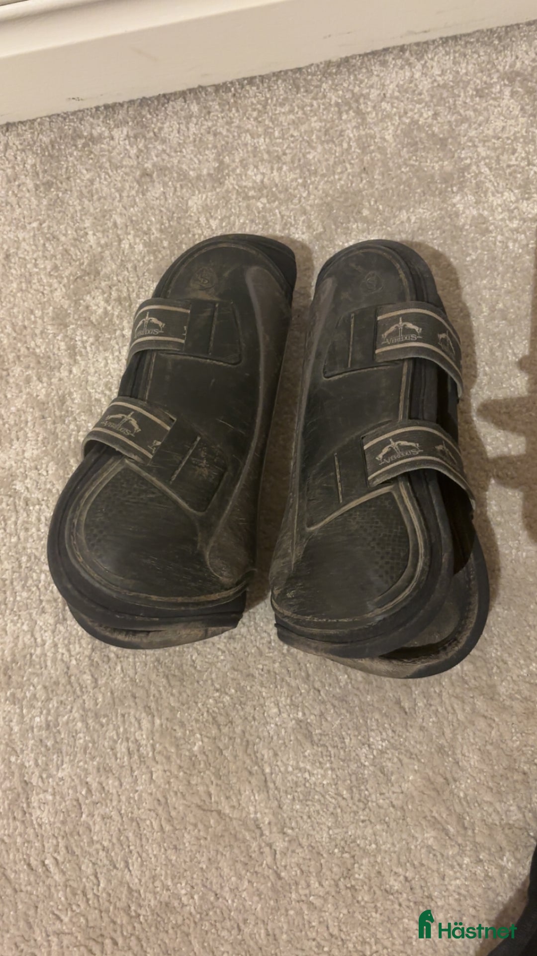 Benskydd hästutrustning till salu: Veredus benskydd  i Vetlanda - Annons 2