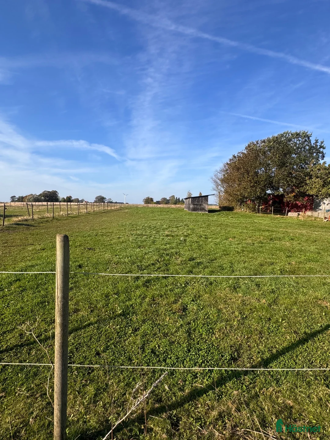 stallplats finnes: Stallplats finnes - Annons 8