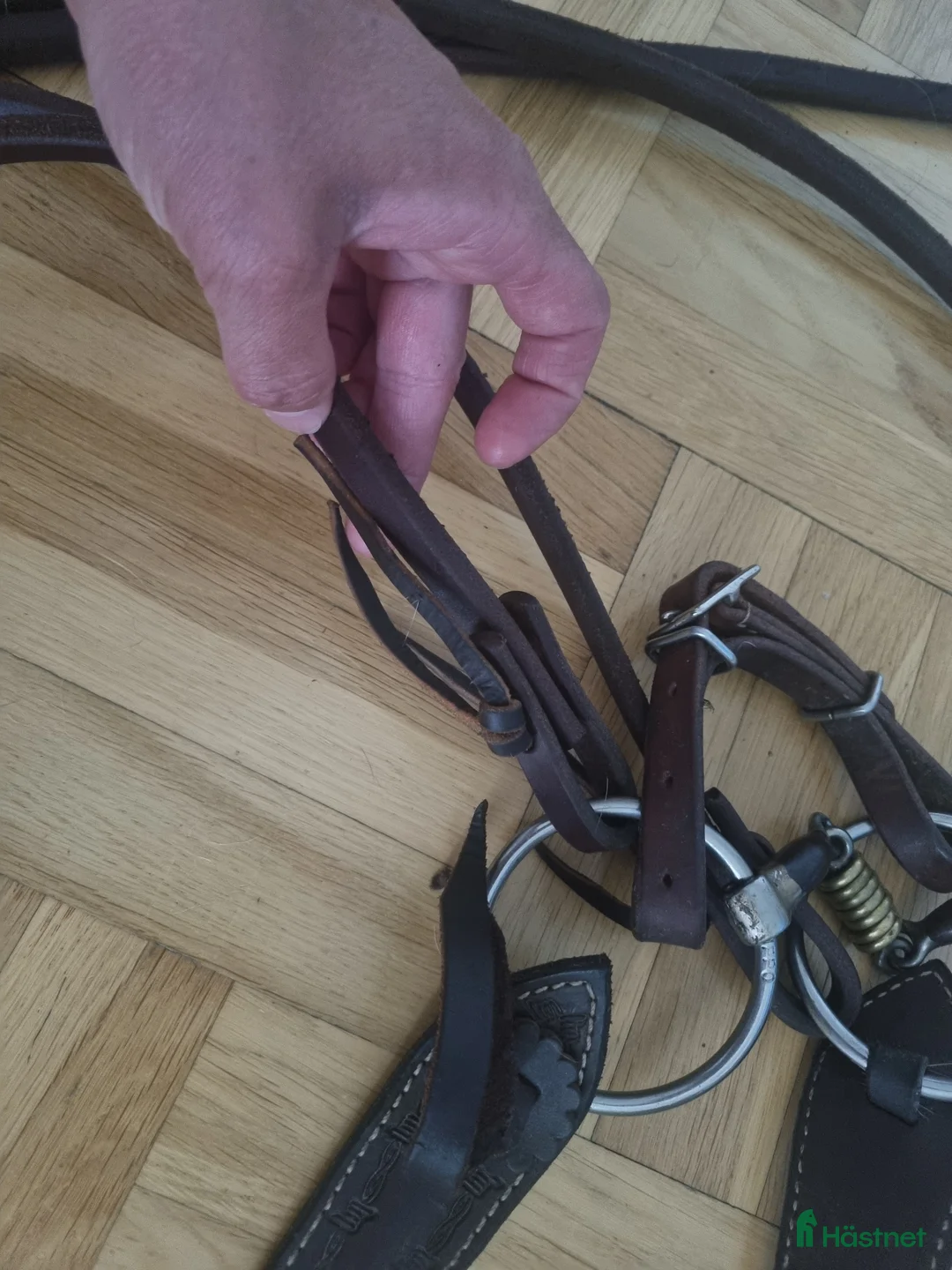 Träns hästutrustning till salu: Komplett enörasträns i Jönköping - Annons 5