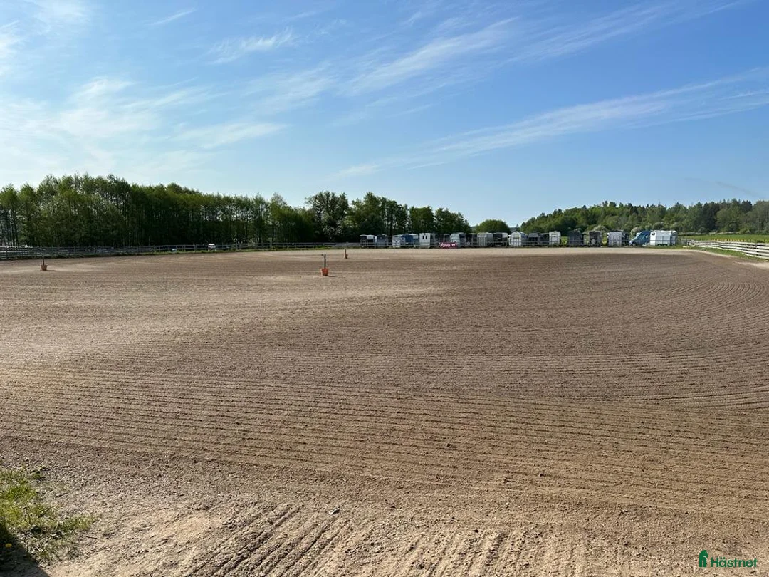  stallplats finnes: Ledig boxplats på Almare Stäket i Kungsängen - Annons 6