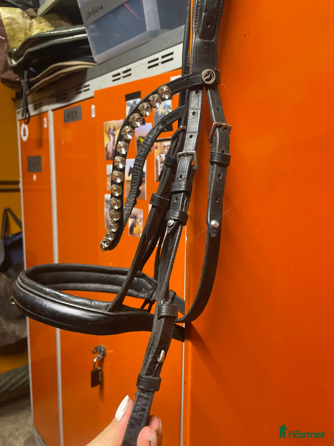 Träns hästutrustning till salu: Svart träns med strass i Tyresö - Annons 3