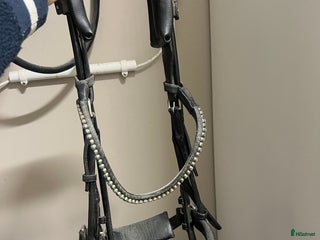 Träns hästutrustning till salu i Färlöv - Annons 9