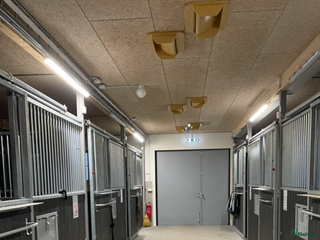 stallplats Stallplats på Angarn i Vallentuna - Annons 15