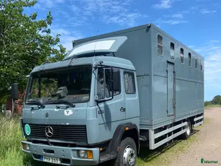 Hästlastbilar fordon & transport till salu: Trotjänaren till salu - Annons 2