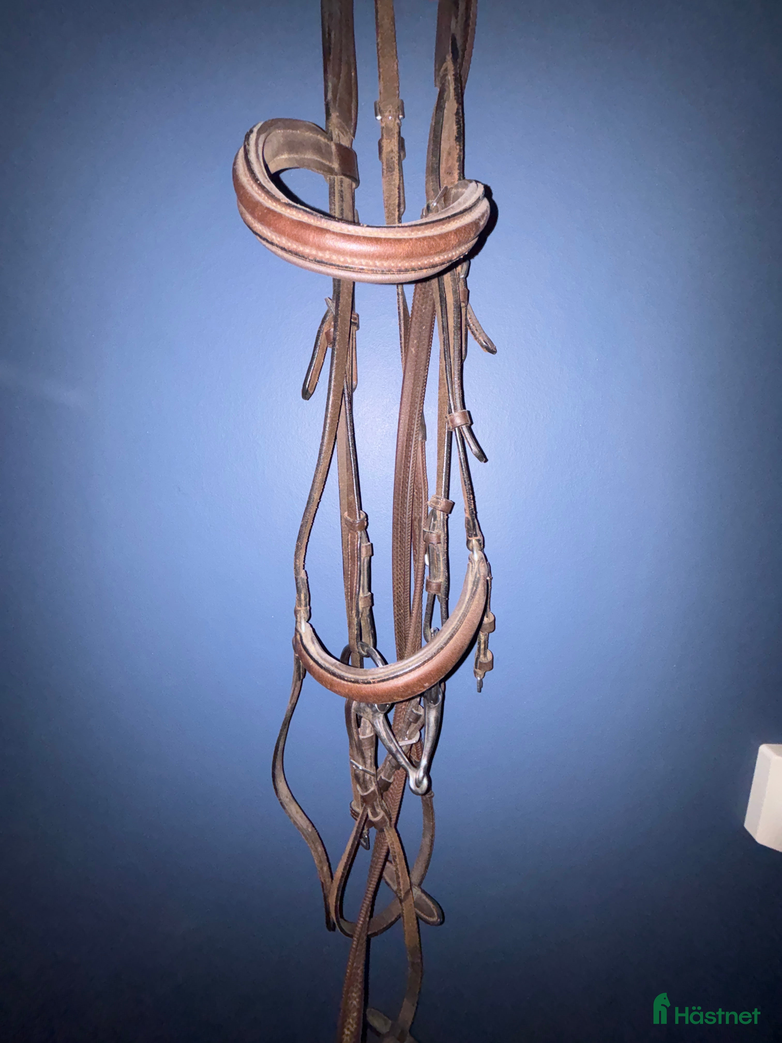 Träns hästutrustning till salu: Träns  i Fristad - Annons 14