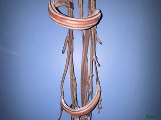 Träns hästutrustning till salu: Träns i Fristad - Annons 10