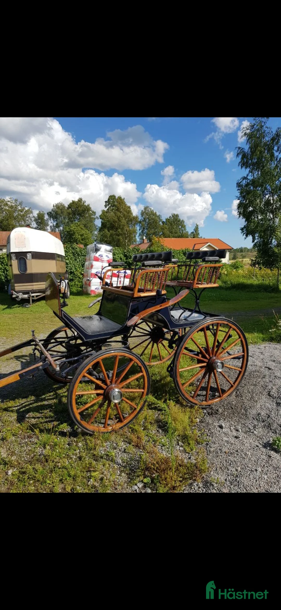 Körvagnar körning till salu: Spider Equus Driving  i Norrtälje - Annons 2