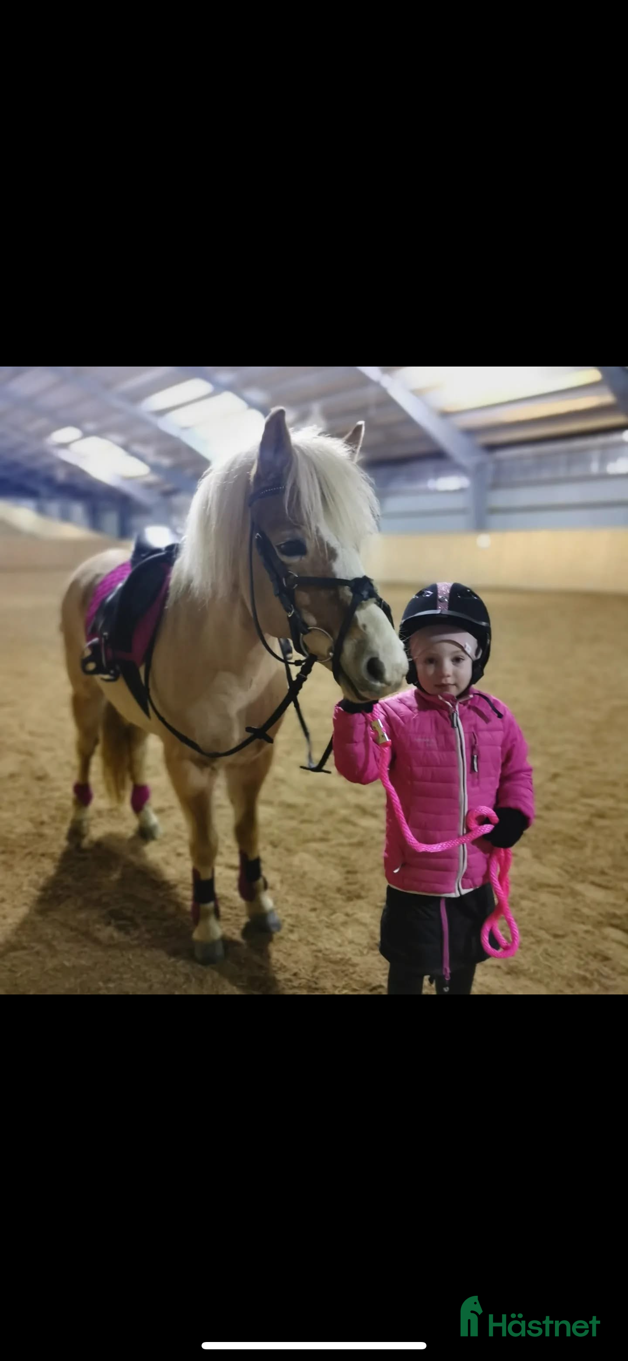  hästar Världens bästa barnponny- once in a life time! i Mörbylånga - Annons 10