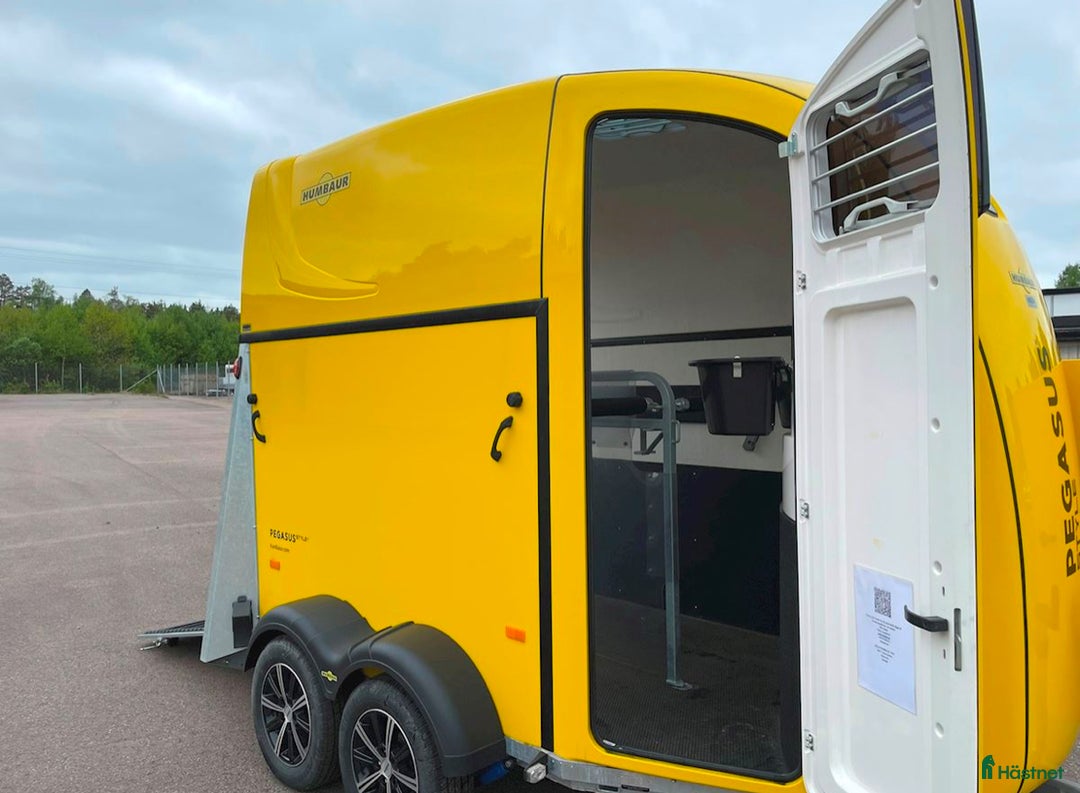 Hästtransporter  fordon & transport till salu: Humbaur Pegasus isolerad glasfiber i Teckomatorp - Bild 6