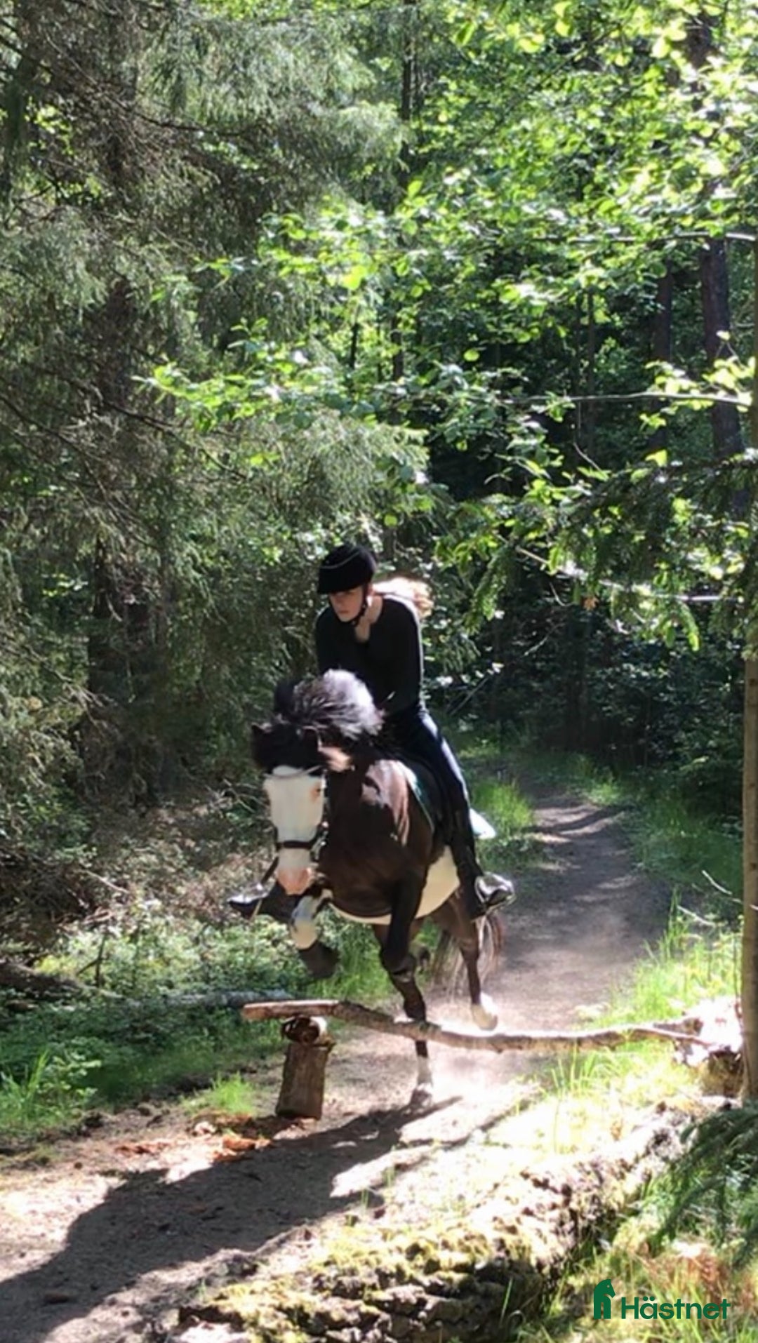  medryttarhäst finnes: Medryttare sökes i Västerhaninge - Annons 3