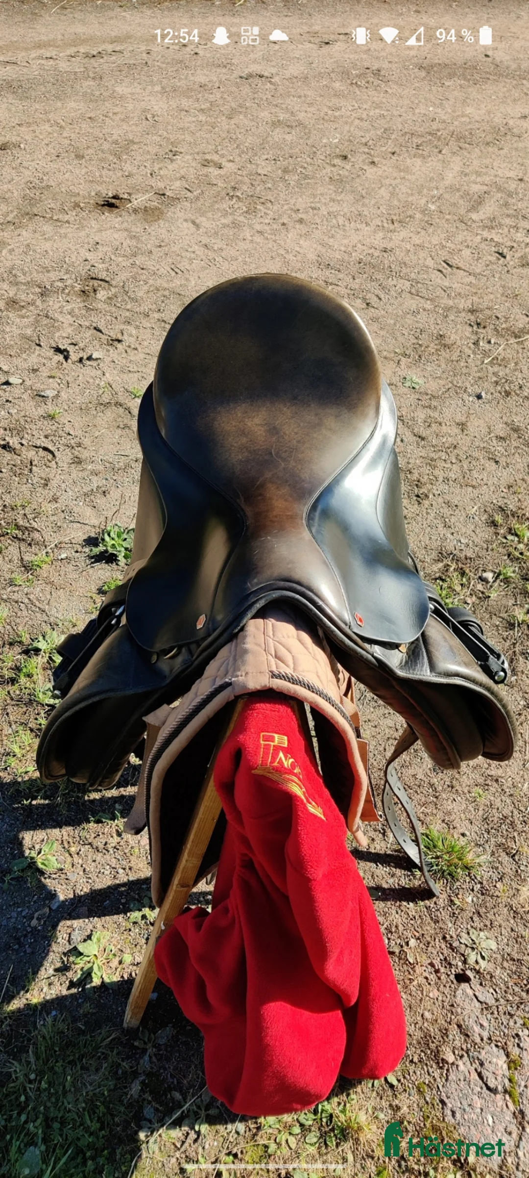 Sadlar hästutrustning till salu: Albion Classic Comfort 17" - Annons 4