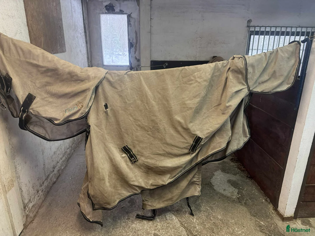 Täcken hästutrustning till salu: Iquoiq - Annons 1