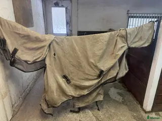 Täcken hästutrustning Iquoiq - Annons 3