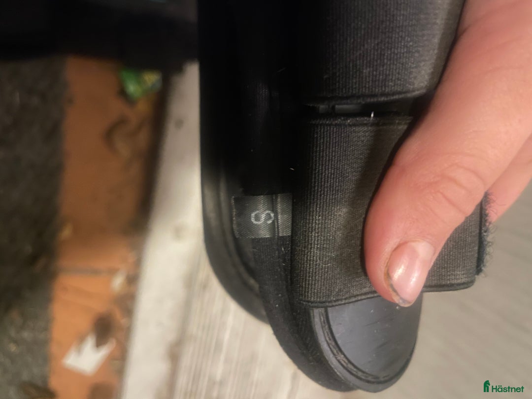 Benskydd hästutrustning till salu: Superfina senskydd från veredus!! i Gävle - Annons 2