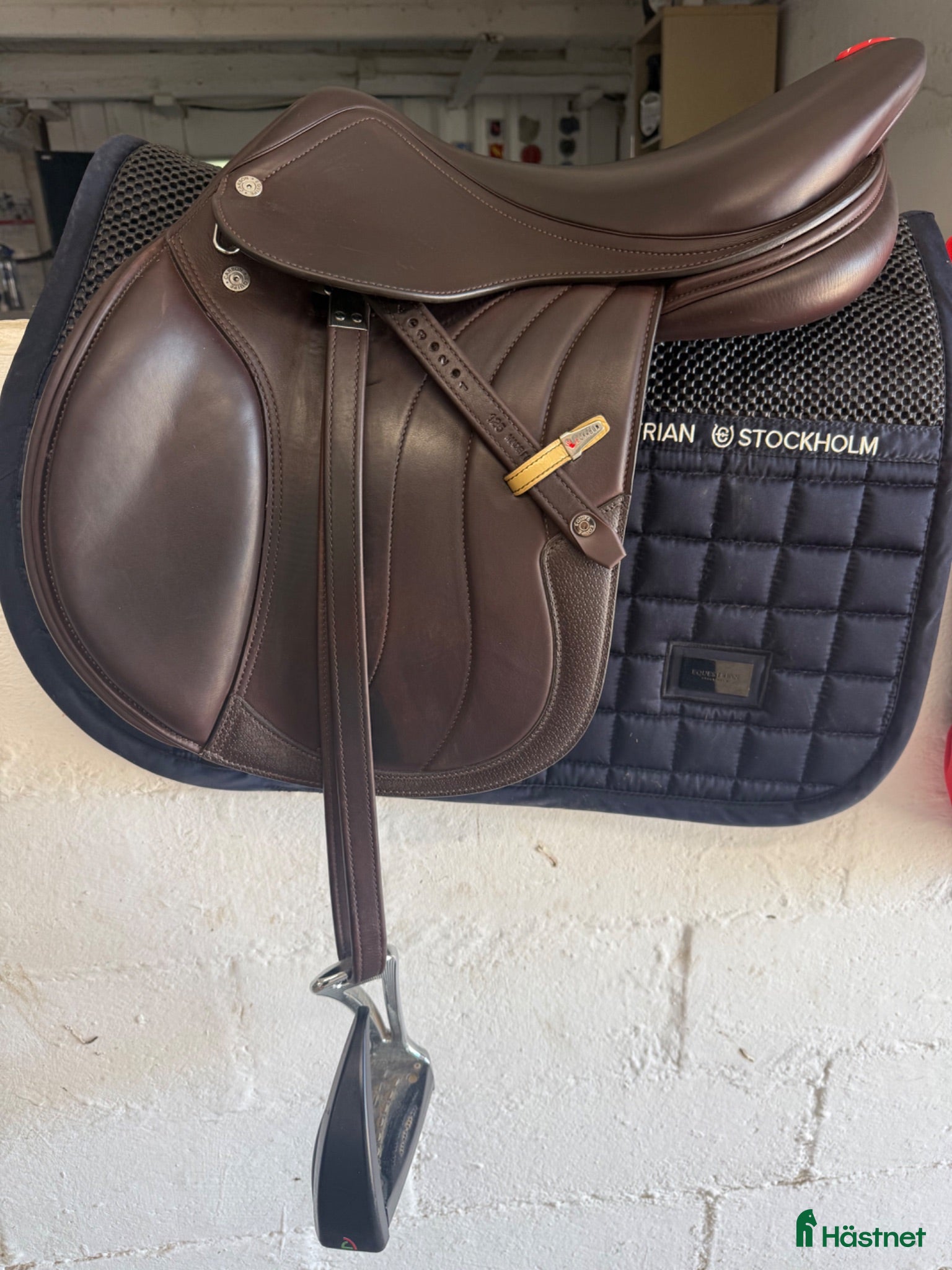 Sadlar hästutrustning Equipe allegra special 16.5 som ny - Annons 12
