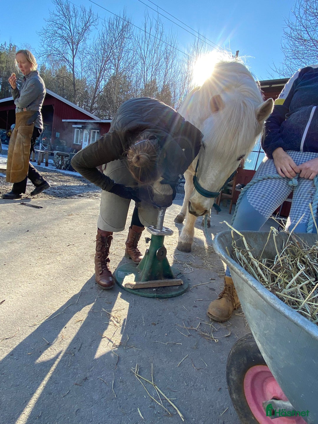  hästservice finnes: Tappskokurs / Hovvårdskurs i Färentuna - Annons 1
