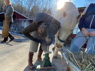 hästservice Tappskokurs / Hovvårdskurs i Färentuna - Annons 20