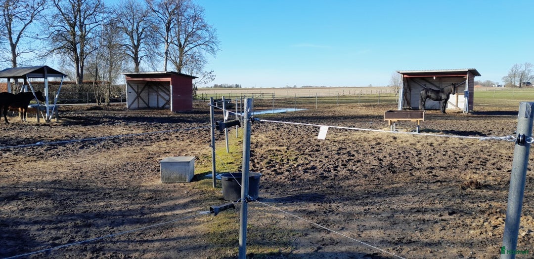  stallplats finnes: Boxplats uthyres i Staffanstorp - Annons 2
