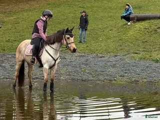 hästar Häftig cponny, syns i mängden, sto - Annons 5