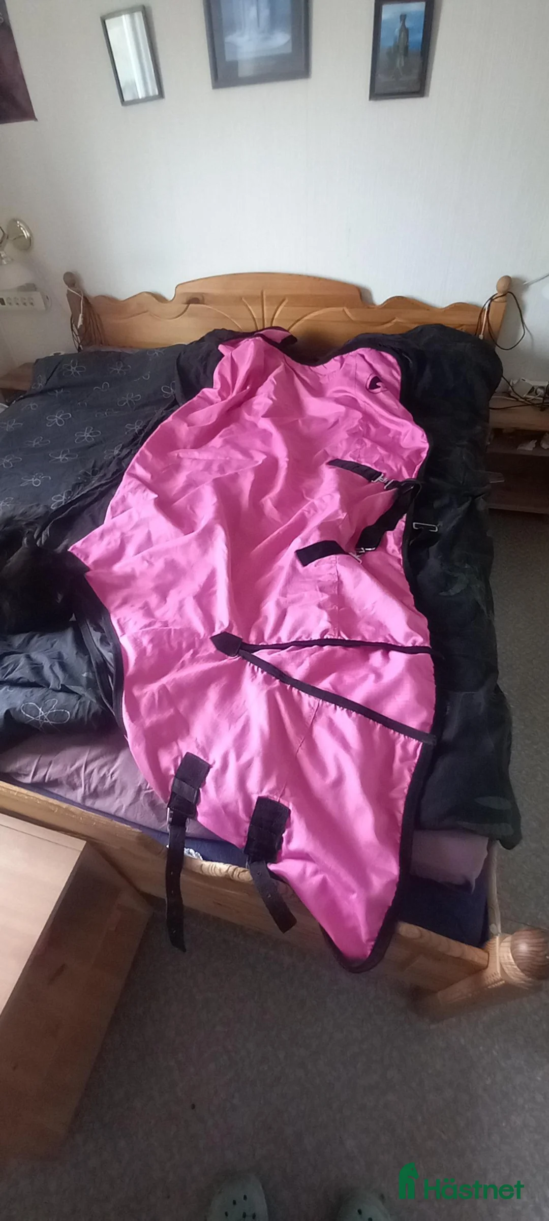Täcken hästutrustning till salu: helt nytt regntäcke - Annons 1