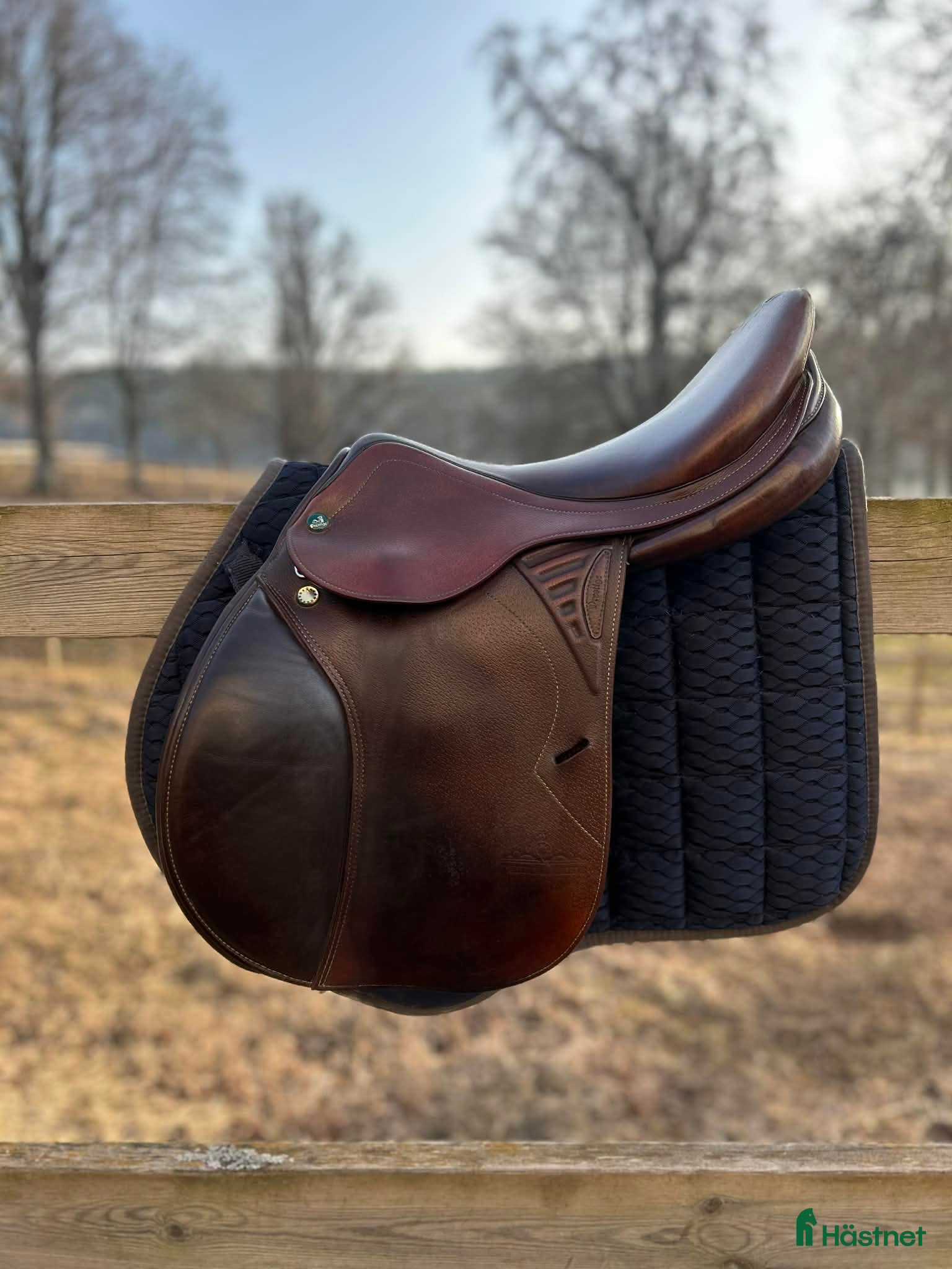 Sadlar hästutrustning Trevlig hoppsadel  - Annons 5