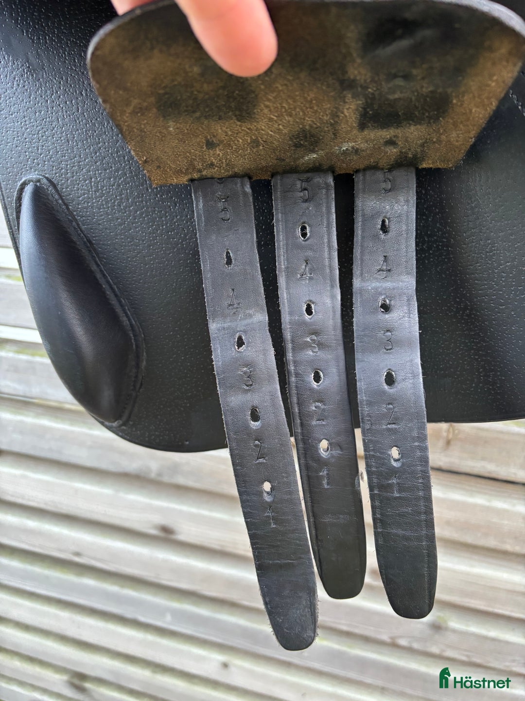 Sadlar hästutrustning till salu: Pessoa Amo 17” 2024 i Kungsbacka - Annons 6