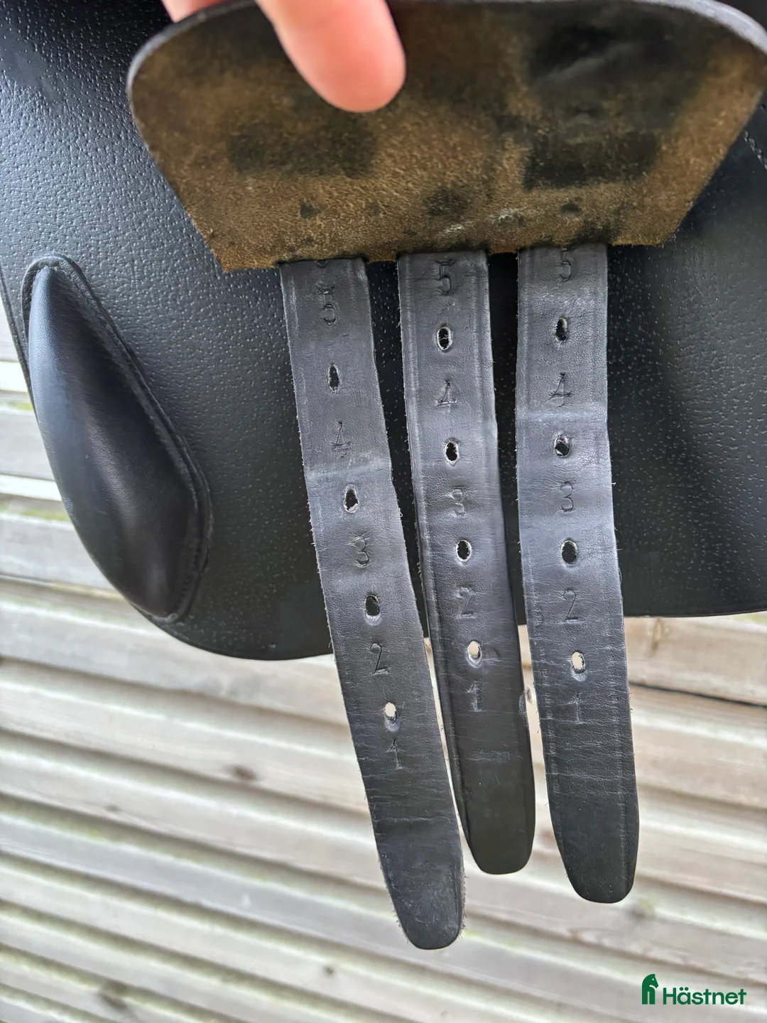 Sadlar hästutrustning till salu: Pessoa Amo 17” 2024 i Kungsbacka - Annons 6