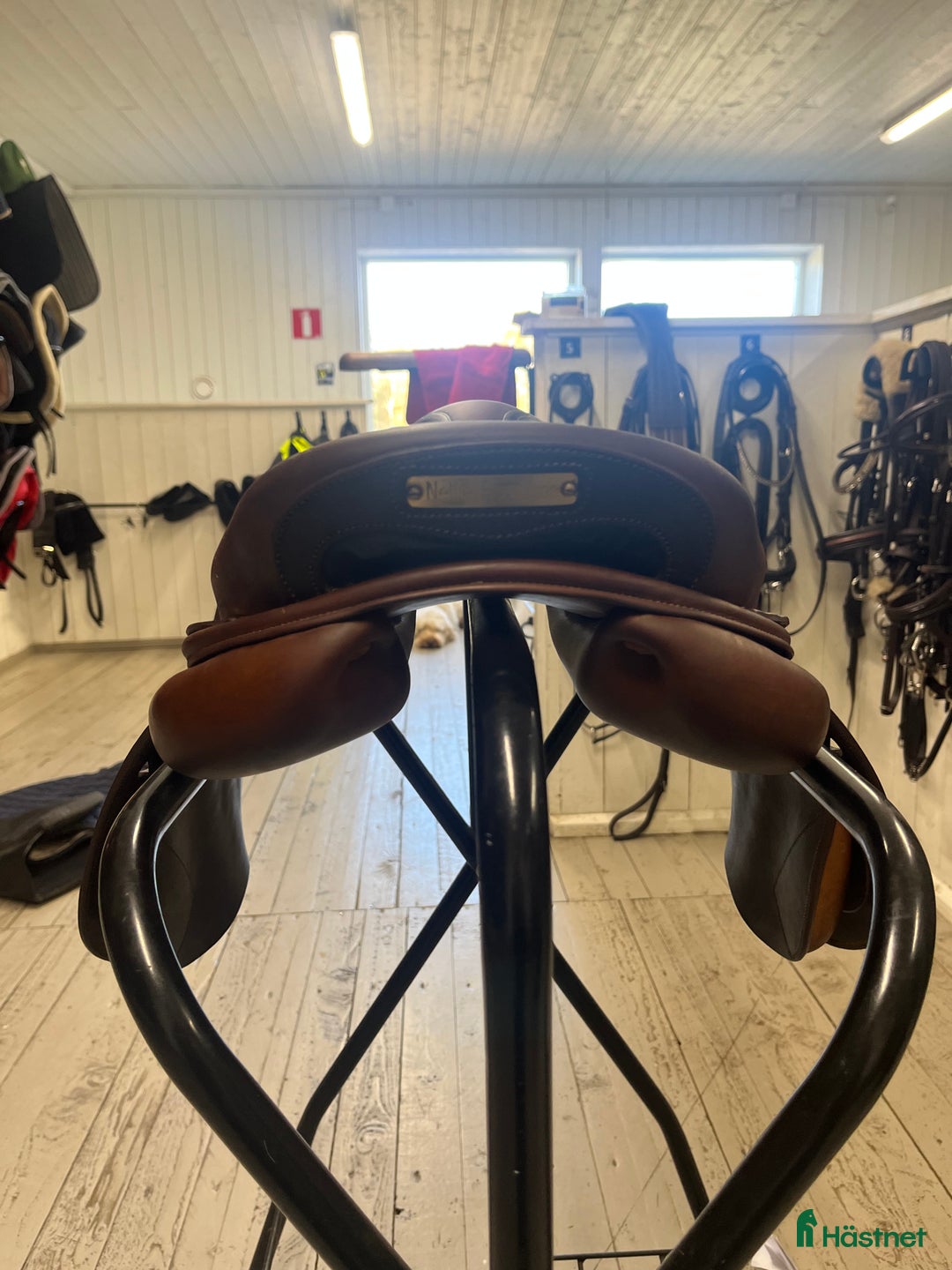 Sadlar hästutrustning till salu: Bruno delgrange Partition i Värnamo - Annons 2