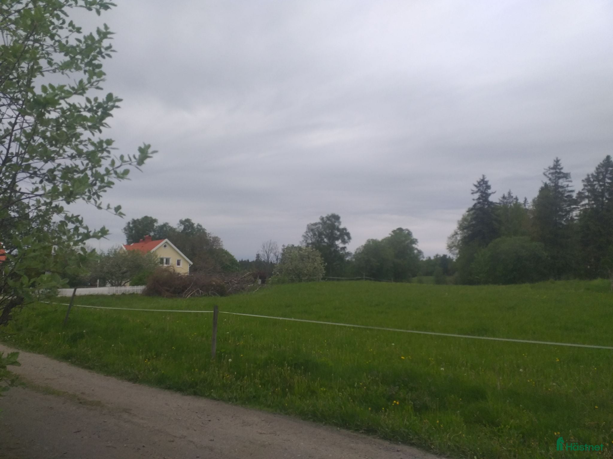  foderhäst finnes: Två små ponnier över vintern. ÄLVSBORG - Annons 2