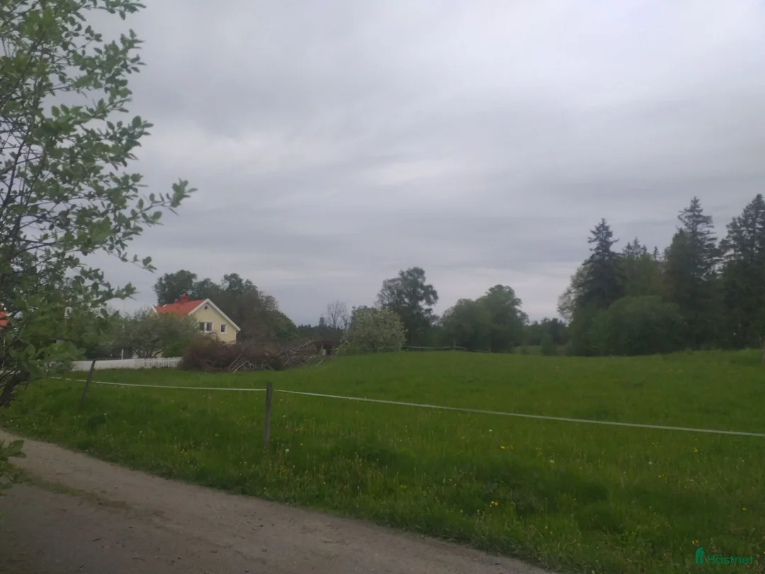  foderhäst finnes: Två små ponnier över vintern. ÄLVSBORG i Alingsås - Annons 1