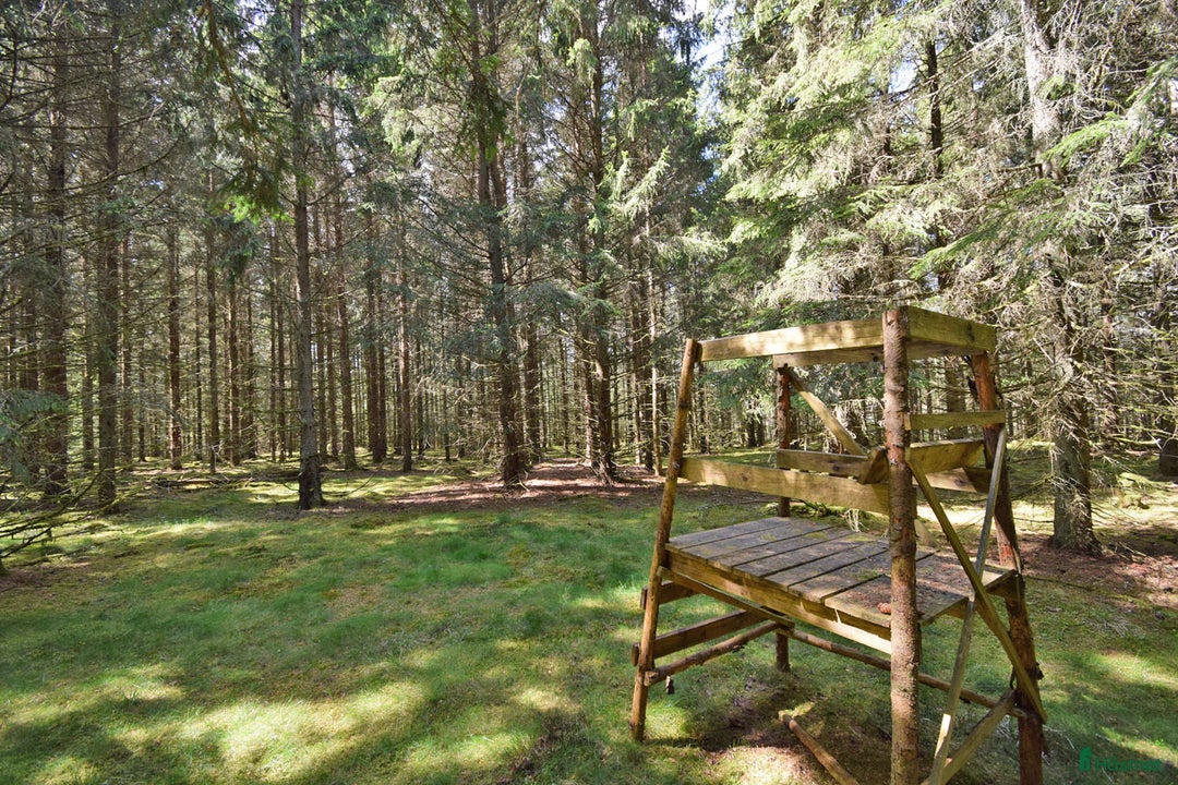  hästgårdar till salu: Genuin skogsgård i Ljungby - Bild 17