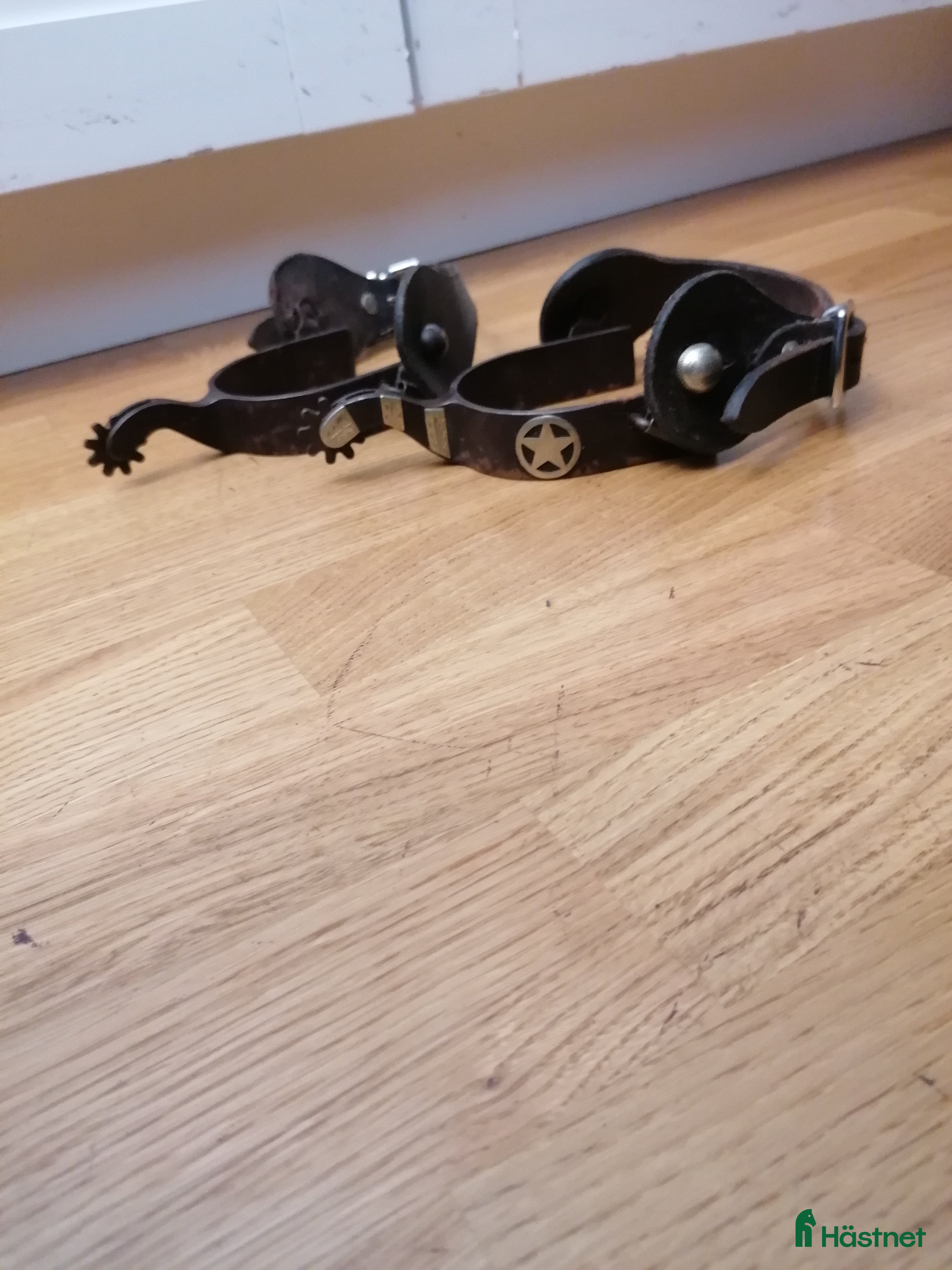 Övrig Ryttarutrustning ryttarutrustning till salu: Westernsporrar i Västra Frölunda - Annons 10