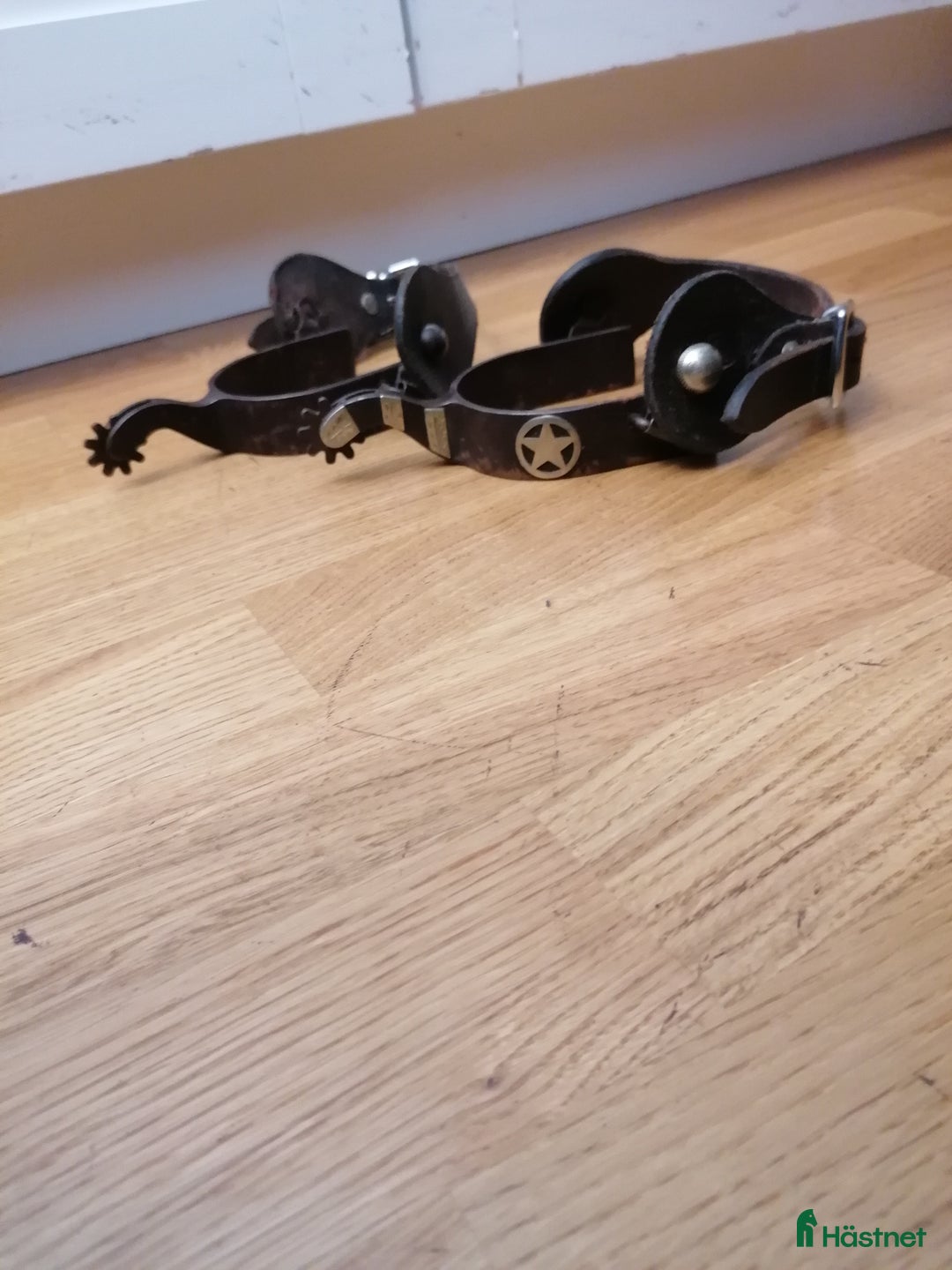 Övrig Ryttarutrustning ryttarutrustning till salu: Westernsporrar i Västra Frölunda - Annons 1