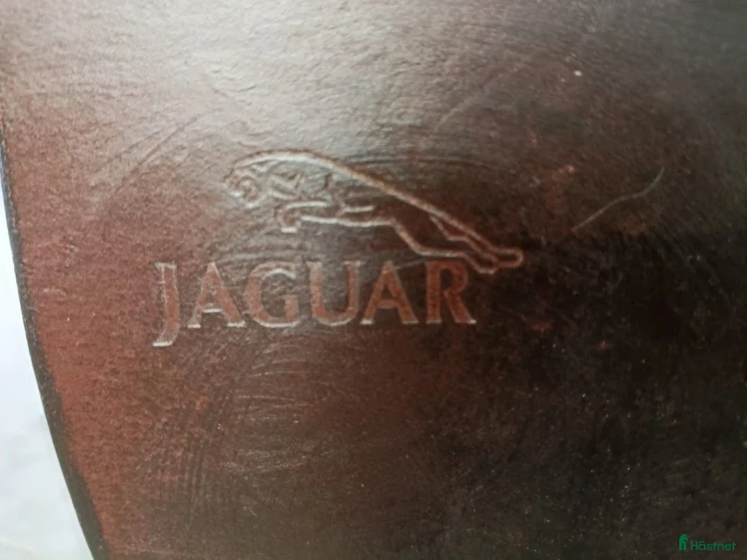 Sadlar hästutrustning till salu: Fin allroundsadel Märke: Jaguar - Annons 2