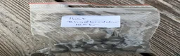 Övrig Hästutrustning hästutrustning till salu: Elitbrodden 3/8 och blindbrodd 3/8 - Annons 4