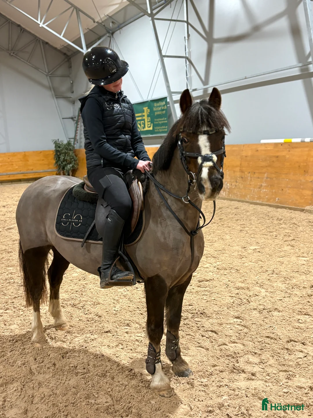 Hoppning hästar till salu: Häftig ponny för de största! i Västra Tunhem - Annons 3