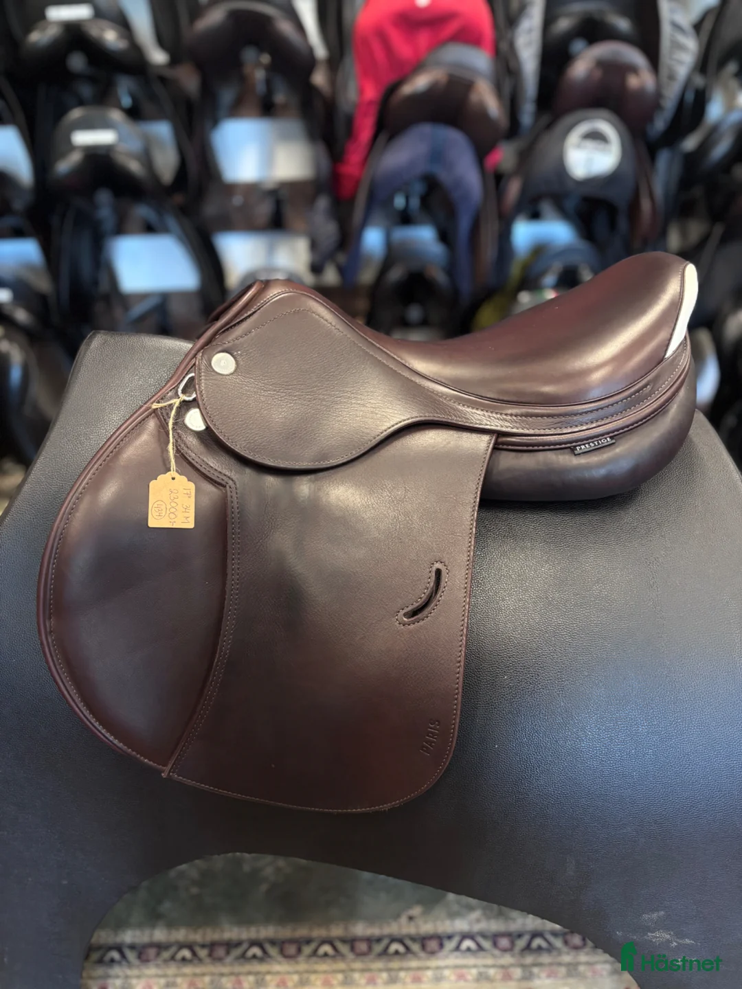Sadlar hästutrustning till salu: Prestige Paris ✨ - Annons 1
