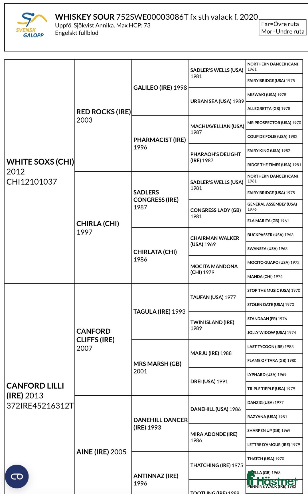 Allround hästar till salu: 5årig valack - ämne för fälttävlan? i Bottnaryd - Annons 3