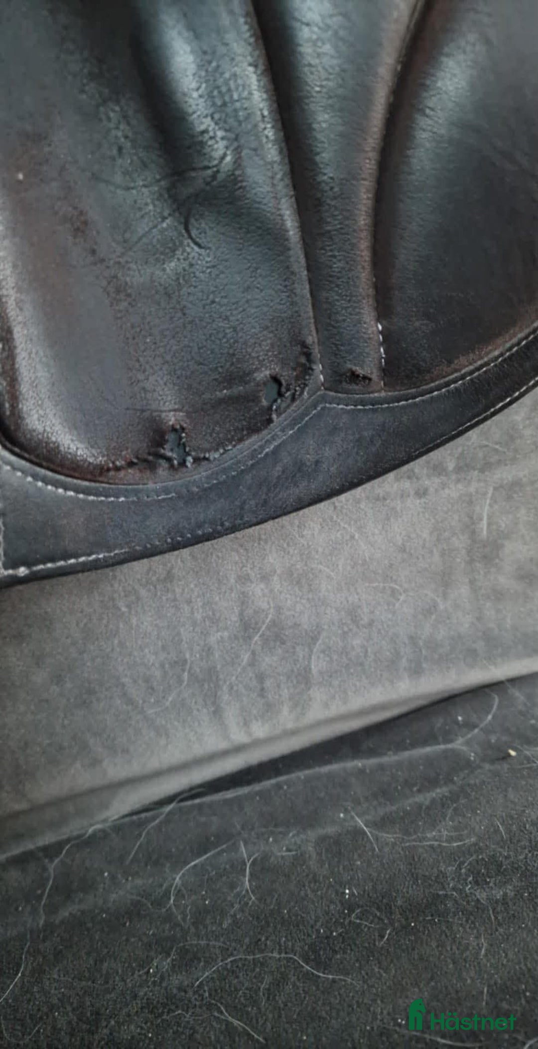 Sadlar hästutrustning till salu: Equipe sadel i Osby - Annons 5