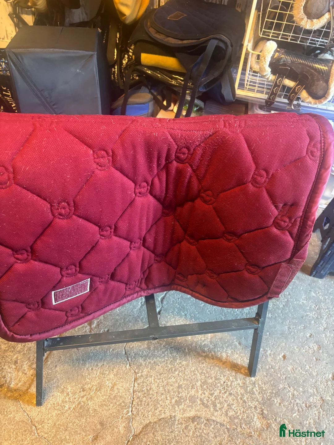 Schabrak & Vojlockar hästutrustning till salu: Fint schabrak  - Annons 2