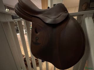 Sadlar hästutrustning till salu: Bruno Delgrange sprangsal i Steinkjer - Annons 16