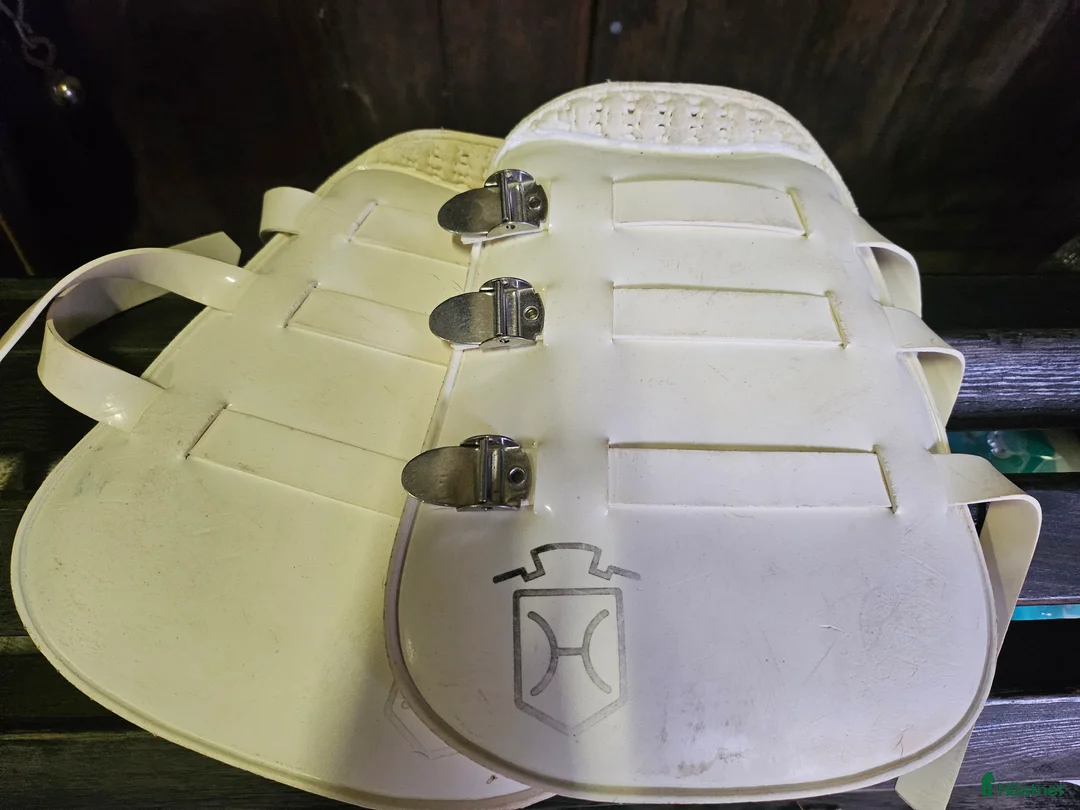 Benskydd hästutrustning till salu: Diverse utrustning  - Annons 2