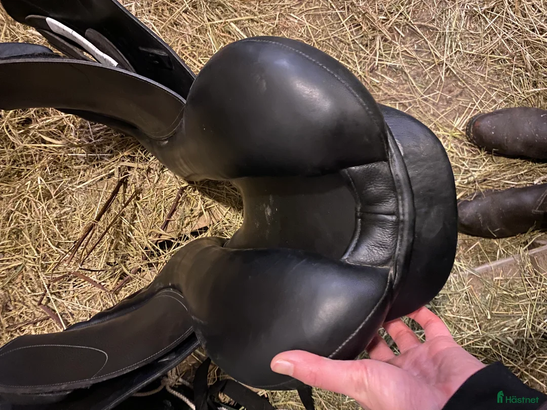 Sadlar hästutrustning till salu: Knights siddhant - Annons 6