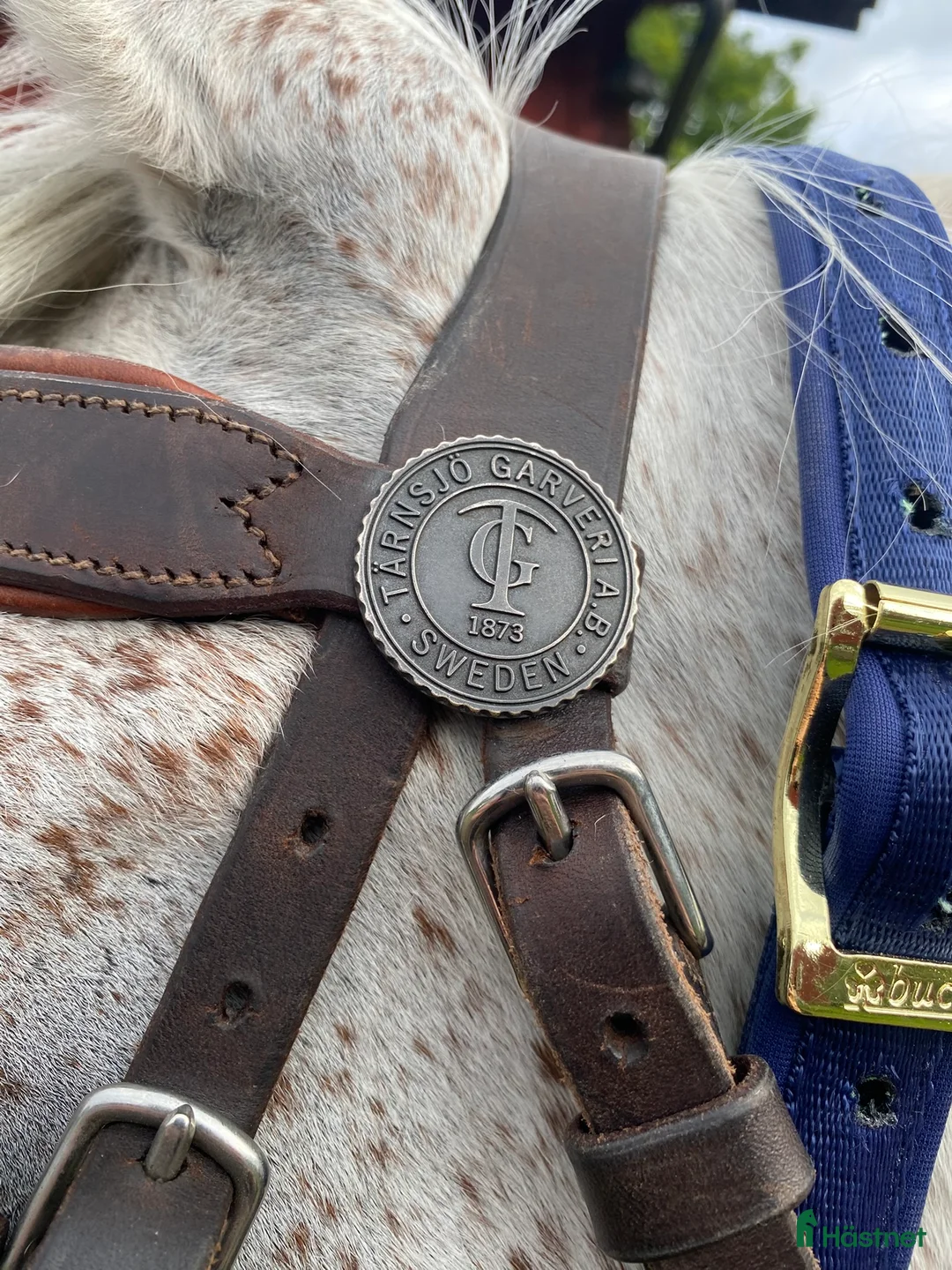 Körselar körning till salu: Komplett nästan ny Svenljunga sele med huvudlag i Kungälv - Annons 8