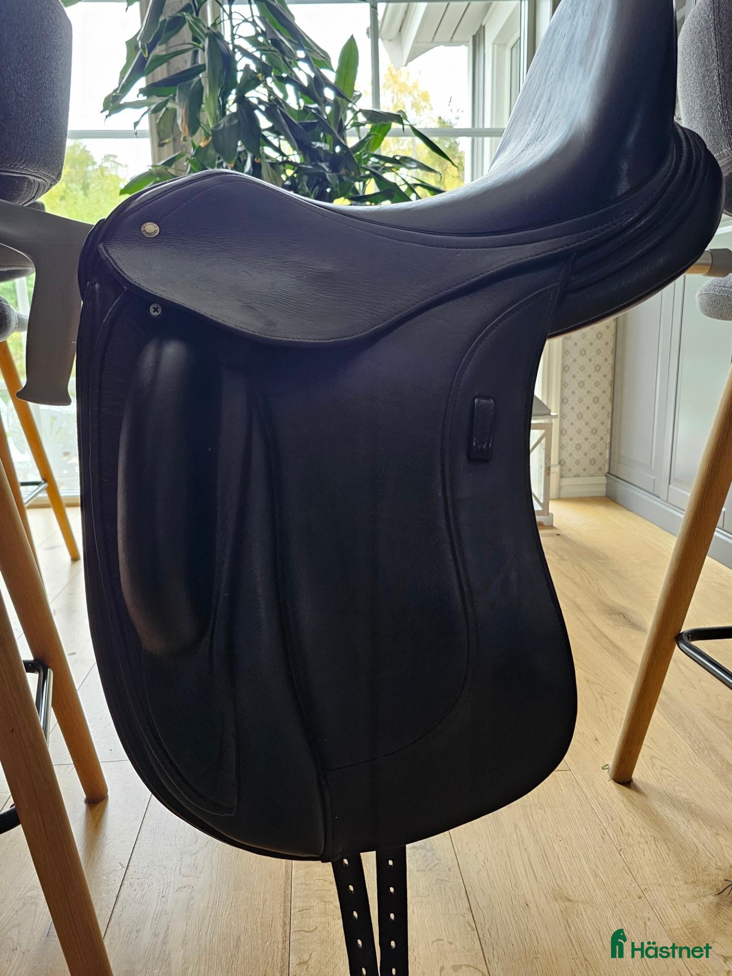 Sadlar hästutrustning Schleese Bolero dressyrsadel + Schleese-sadelgjord - Annons 1