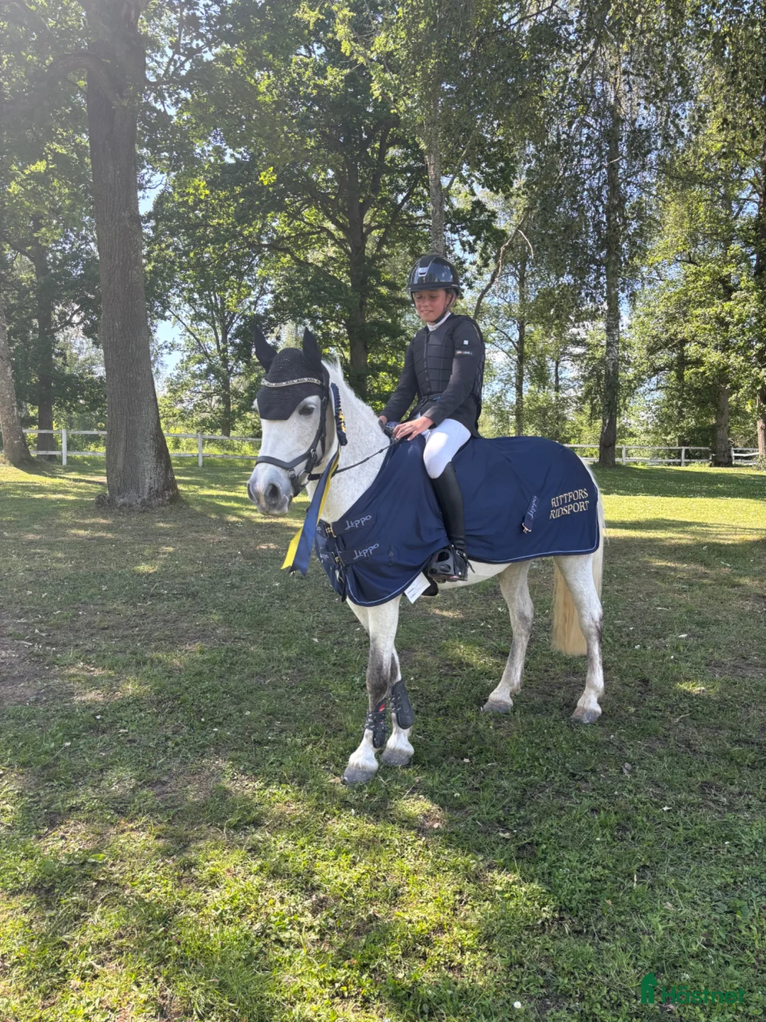 Allround hästar till salu: Prinsess ponny👑 i Trollhättan - Annons 2