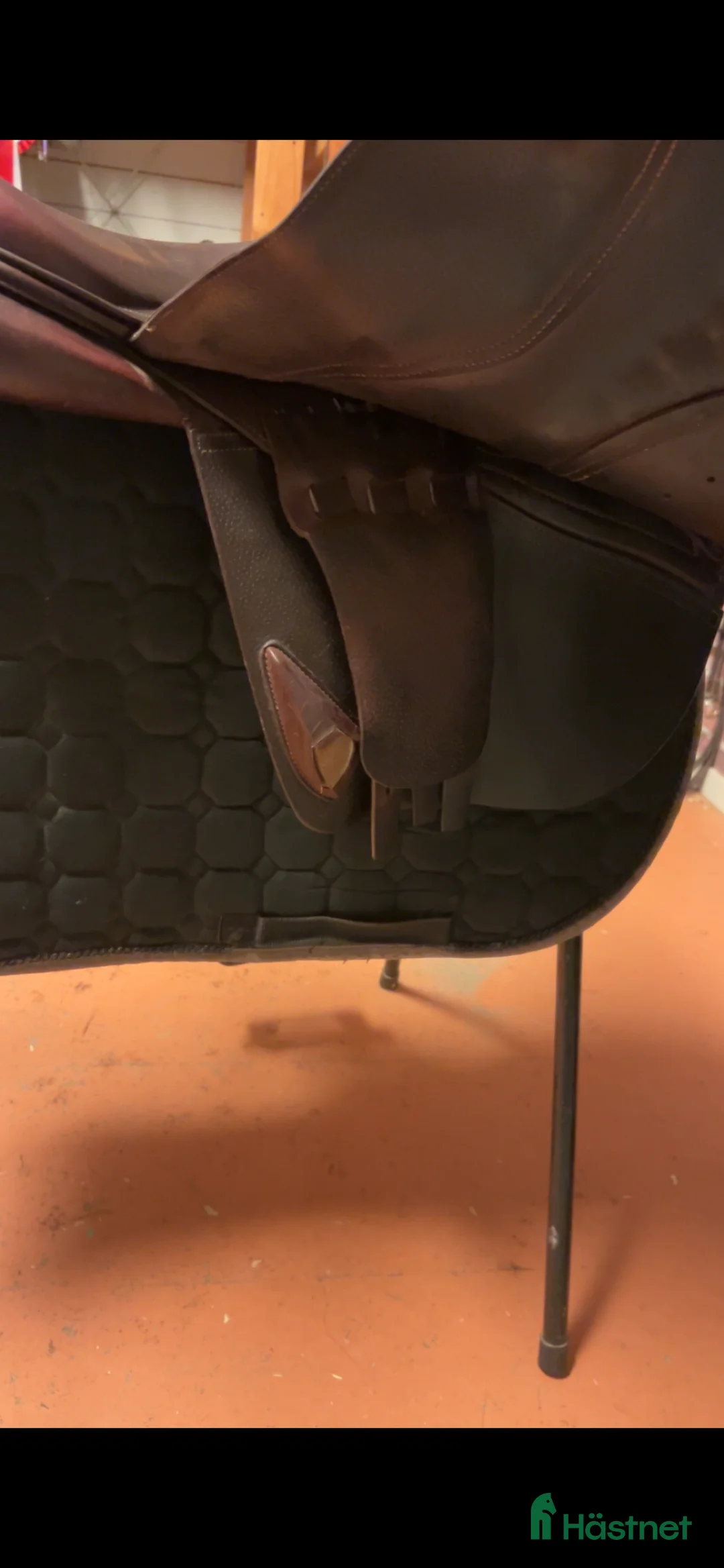 Sadlar hästutrustning till salu: CWD 2GS sadel - Annons 5