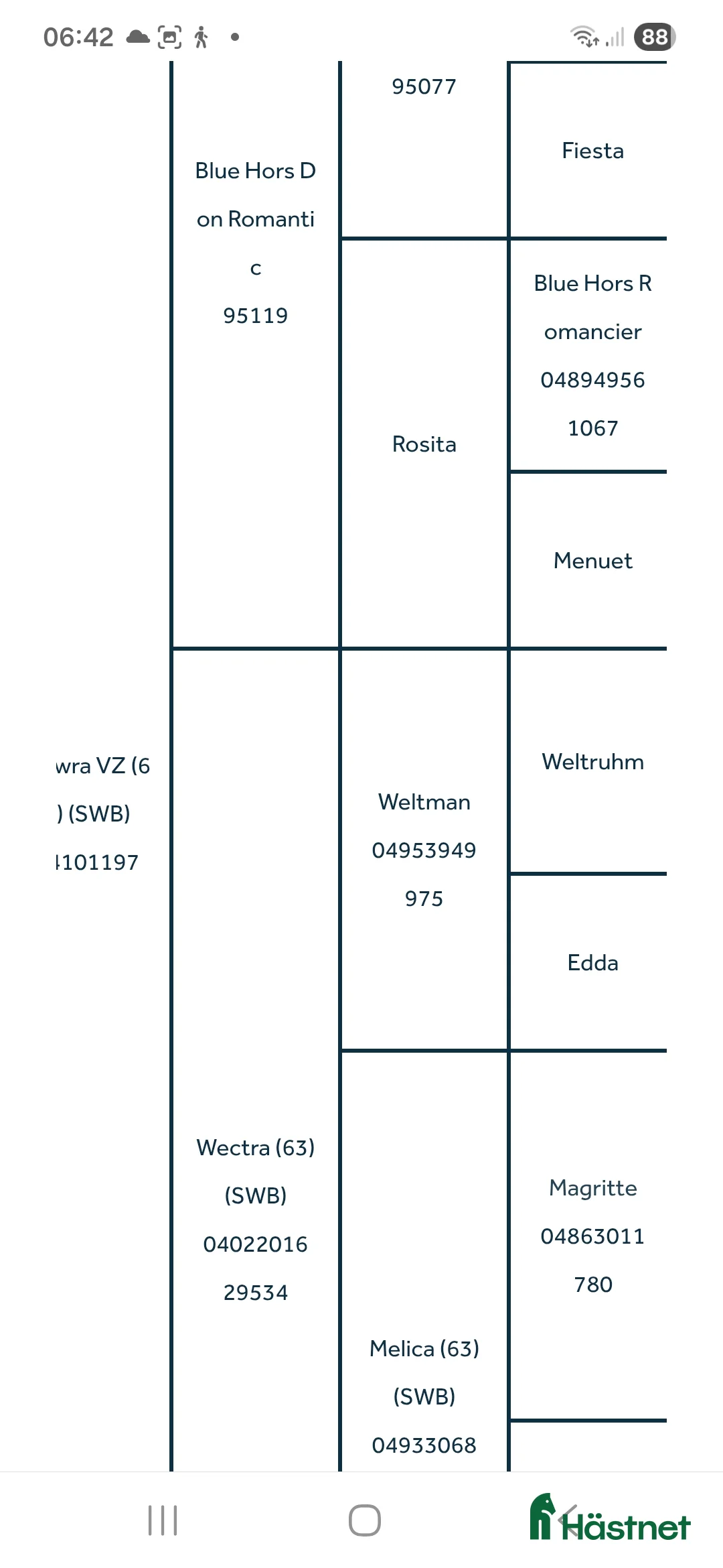Dressyr hästar till salu: Mkt vackert swb sto  i Kungsör - Annons 7