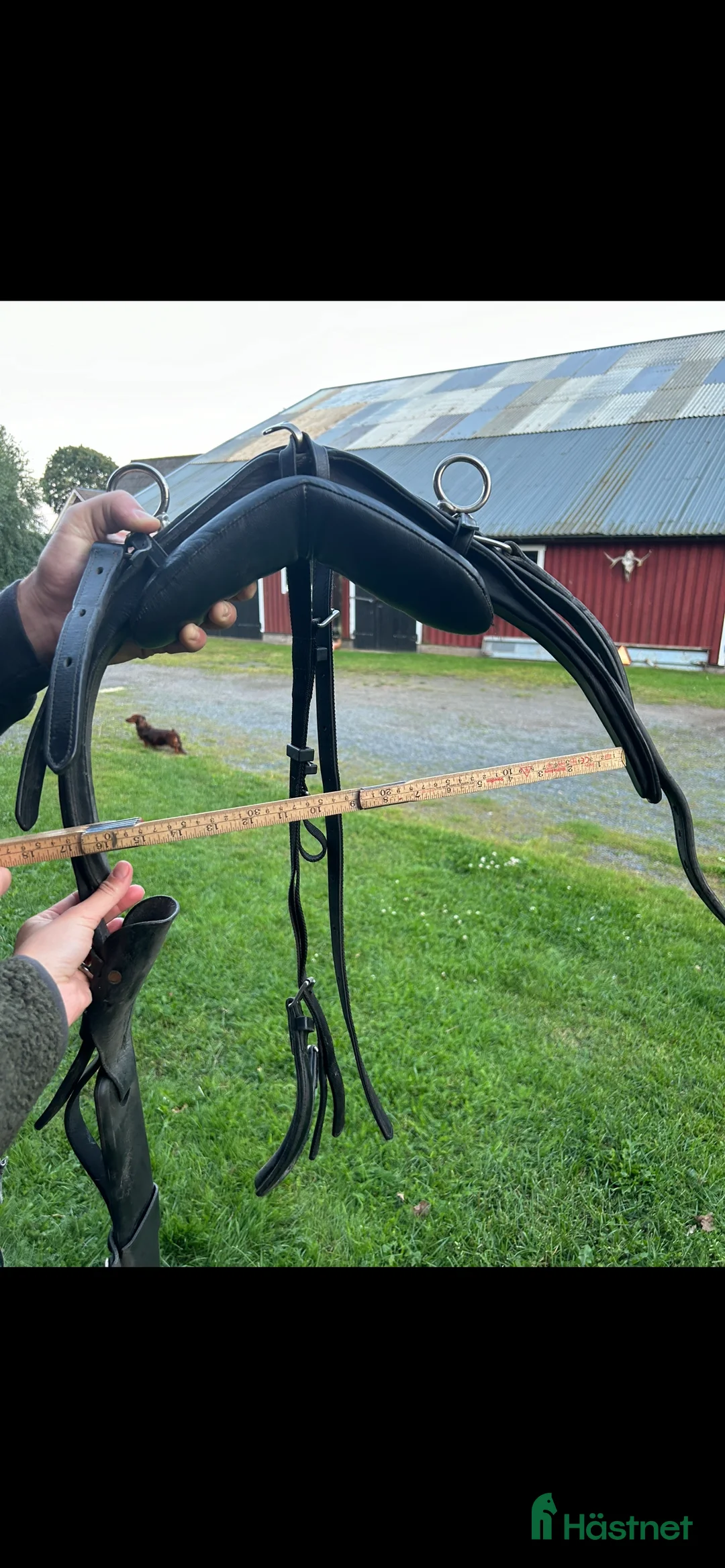 Körselar körning till salu: Körsele  - Annons 3